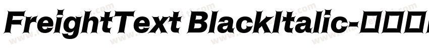 FreightText BlackItalic字体转换